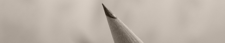 Spitze Gedanken!