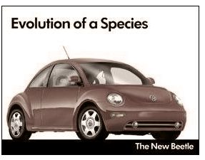 Evolution of a Species - The New Beetle